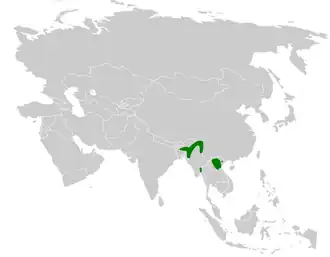 Bakers diksnavelmees