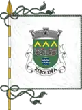 Vlag van Reboleira