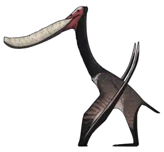 Pterodaustro