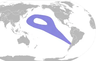 Stejnegers stormvogel