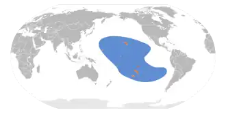 Kleine wigstaartpijlstormvogel