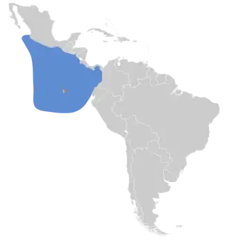 Galápagospijlstormvogel