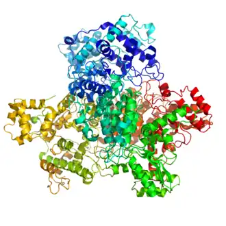 Pyruvaatdehydrogenase E1 van E. coli. Kleuren vertegenwoordigen verschillende subunits