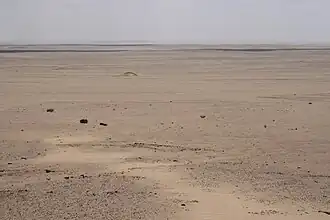 De Qattara-depressie