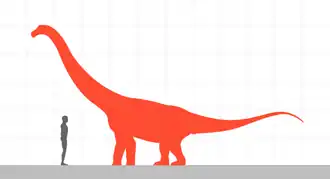 Quaesitosaurus