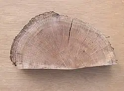 Steeneik met houtstralen