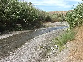 Rivier de Nacimiento