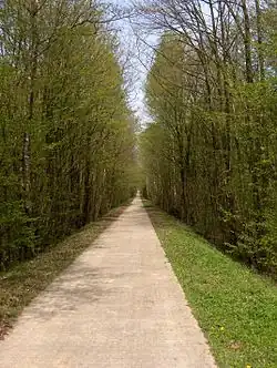 RAVeL fietspad door het Bois de la Fagne