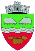 Wapen van Târnova