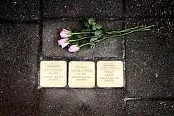Stolpersteine voor de familie Lutraan in Raalte, 6 april 2014