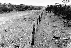 Rabbit-proof fence 1926-27