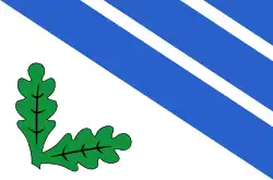 Vlag van de gemeente Rakvere vald