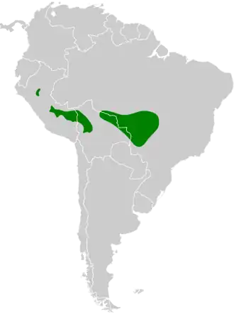 Hellmayrs muggensluiper