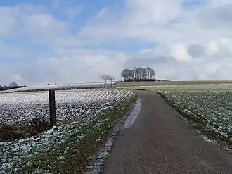 De Schaapsdries gezien vanuit het Ransdalerveld