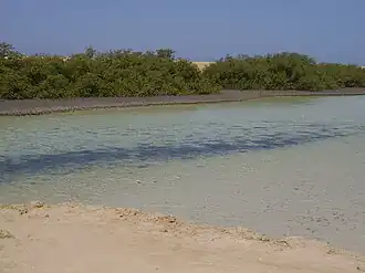 Nationaal park Ras Mohammed