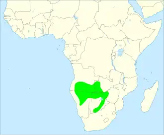 Roodsnavelfrankolijn