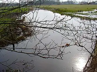 De Reest nabij Halfweg, grens tussen Drenthe en Overijssel