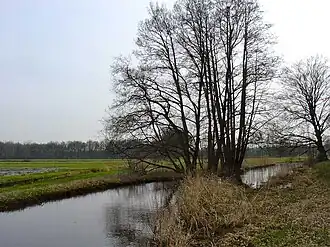 De Reest ten zuidwesten van de Wijk bij Dickninge