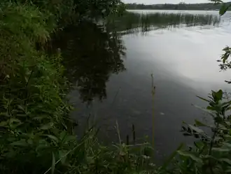 Langs de oevers van het Ten Mile Lake