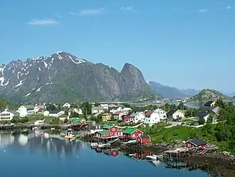 Reine