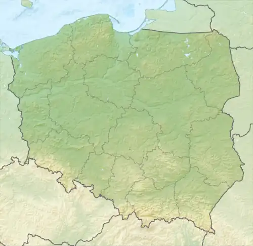 Luchtmacht van de Poolse Republiek (Polen)