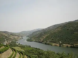 De Douro tussen de Portugese wijngaarden