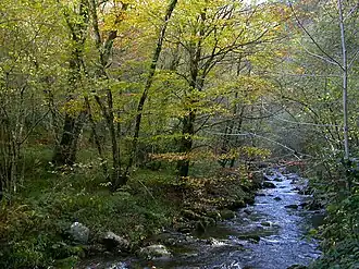 Natuurpark Fuentes del Narcea, Degaña e Ibias