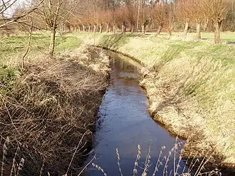 Roode Beek bij Schinveld (2009).