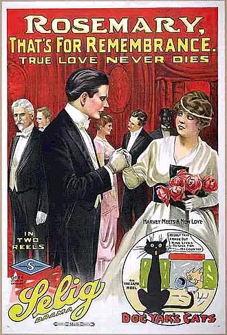 Rosemary, That's for Remembrance