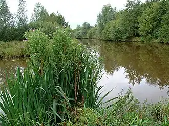 Zicht op Liefstinghsbroek vanaf de Ruiten Aa