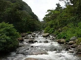 Rio Caldera nabij Boquete