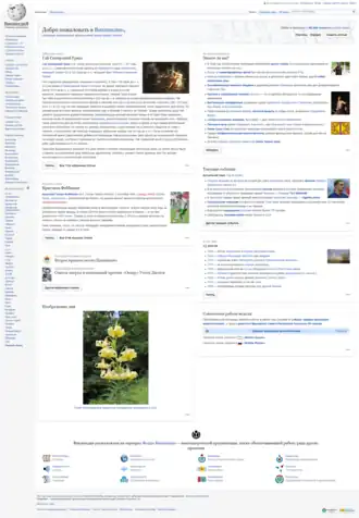 Russischtalige Wikipedia