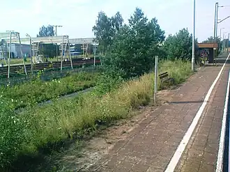 Station Rynkowo Wiadukt