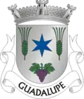 Vlag van Guadalupe