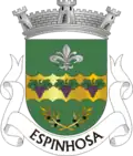 Vlag van Espinhosa