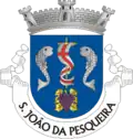 Vlag van São João da Pesqueira