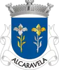 Vlag van Alcaravela