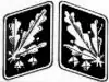 Militaire rang SS-Obergruppenführer 1933-1945