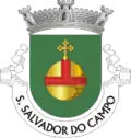 Vlag van São Salvador do Campo