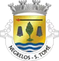 Vlag van São Tomé de Negrelos