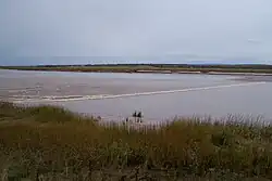 Vloedbranding in de Salmon rivier