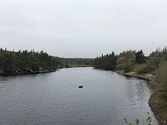 De brede benedenloop van de Saltons Brook gezien vanop de hangbrug