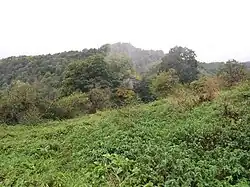 Landschap rond het Samson-klooster