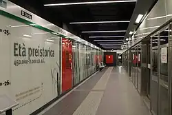 Het perron van lijn C