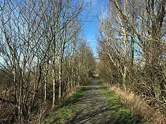 Wandelpad in de Sashul