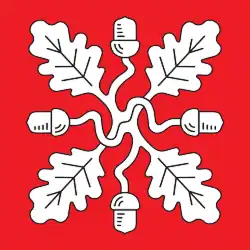 Vlag van de gemeente Saue vald