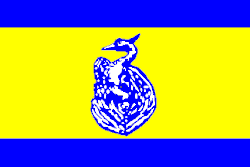 Vlag van Scheerwolde