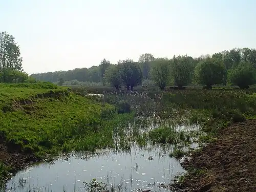 De Geleenbeek nabij kasteel Terborgh bij Schinnen