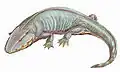 Sclerocephalus