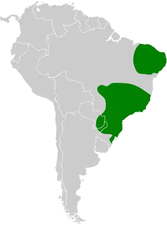 Roodborstbladkrabber